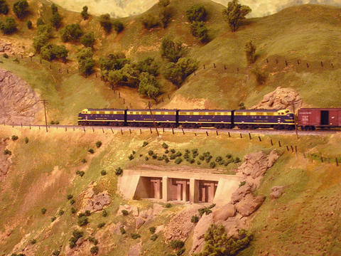 d65b